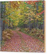 Back Road Color Tour Wood Print