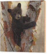 Black Bear Cub - Curious Cub Wood Print