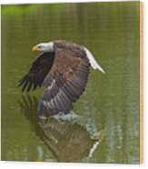 Bald Eagle In Low Flight Over A Lake Wood Print