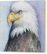 Bald Eagle Portrait Wood Print