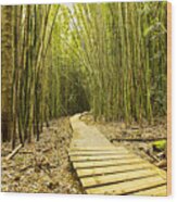 Bamboo Forrest Wood Print