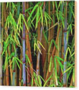 Bamboo Wood Print
