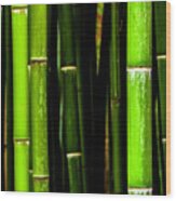 Bamboo Sticks Wood Print