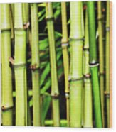 Bamboo Trunks Wood Print