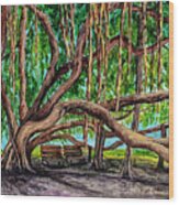 Banyan Tree Park Wood Print