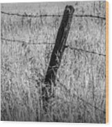 Barb Wire Fence In Infrared Blackand White Wood Print