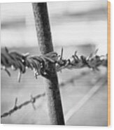 Barbed Wire Wood Print