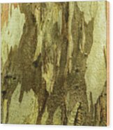 Bark A04 Wood Print