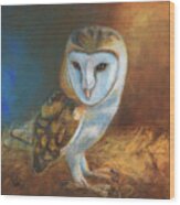 Barn Owl Blue Wood Print