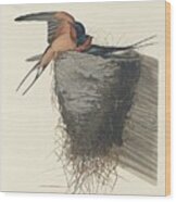 Barn Swallow Wood Print