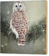 Barred Owl In The Snow Wood Print