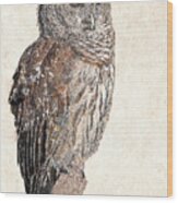 Barred Owl Photographic Drawing Wood Print