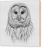 Barred Owl Portrait Black And White Wood Print
