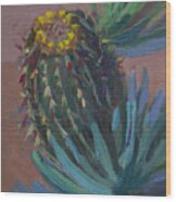 Barrel Cactus In Bloom #1 Wood Print