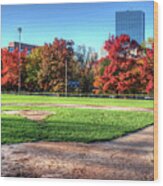 Baseball Season Is Over Boston Ma Boston Common Baseball Field Wood Print