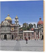 Basilica Of Our Lady Guadalupe Wood Print