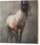 Bay Roan Horse Art Wood Print
