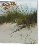 Beach   Grass   And  Sky Wood Print