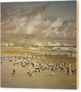 Beach Birds Surfers And Waves Wood Print