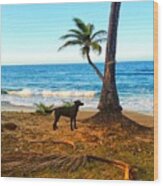 Beach Dog Wood Print