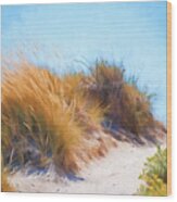 Beach Grass And Sand Dunes Wood Print