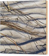 Beach Tapestry Wood Print