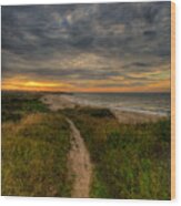 Beach Trail Wood Print