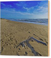 Beach With Wood Trunk - Spiaggia Con Tronco Ii Wood Print