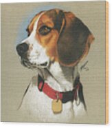 Beagle Wood Print