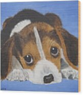 Beagle Sad Eyes Wood Print