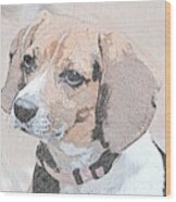 Beagles Are The Cutest Wood Print