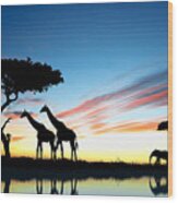 Beautiful  Animals In Safari Wood Print