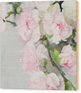 Beautiful Carnations Wood Print