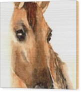 Beautiful Dun Horse Watercolor Wood Print