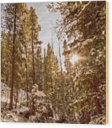 Beautiful Rocky Mountain Winter Day Wood Print