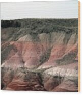 Beauty Of Painted Desert Wood Print