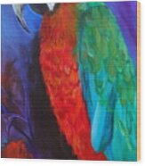 Becky The Macaw Wood Print