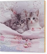 Bedtime Kitties Wood Print