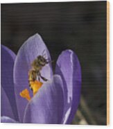 Bee Ballet Wood Print