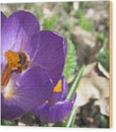 Bee In Purple Flower Wood Print