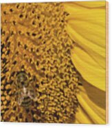 Bee On Sunflower Wood Print
