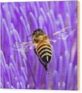 Bee With Artichoke Bloom Wood Print