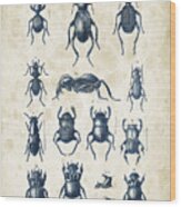 Beetles - 1897 - 01 Wood Print