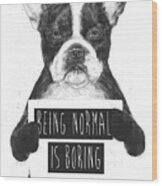 Being Normal Is Boring Wood Print