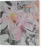 Belladonna Lilies Wood Print