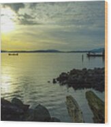 Bellingham Bay Oysters Wood Print