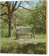 Bench In Nature Wood Print