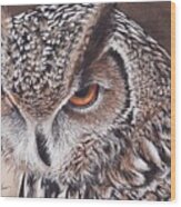 Bengal Eagle Owl Wood Print