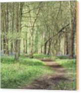 Bentley Woods, Warwickshire
#landscape Wood Print