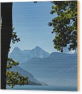 Bernese Oberland Wood Print